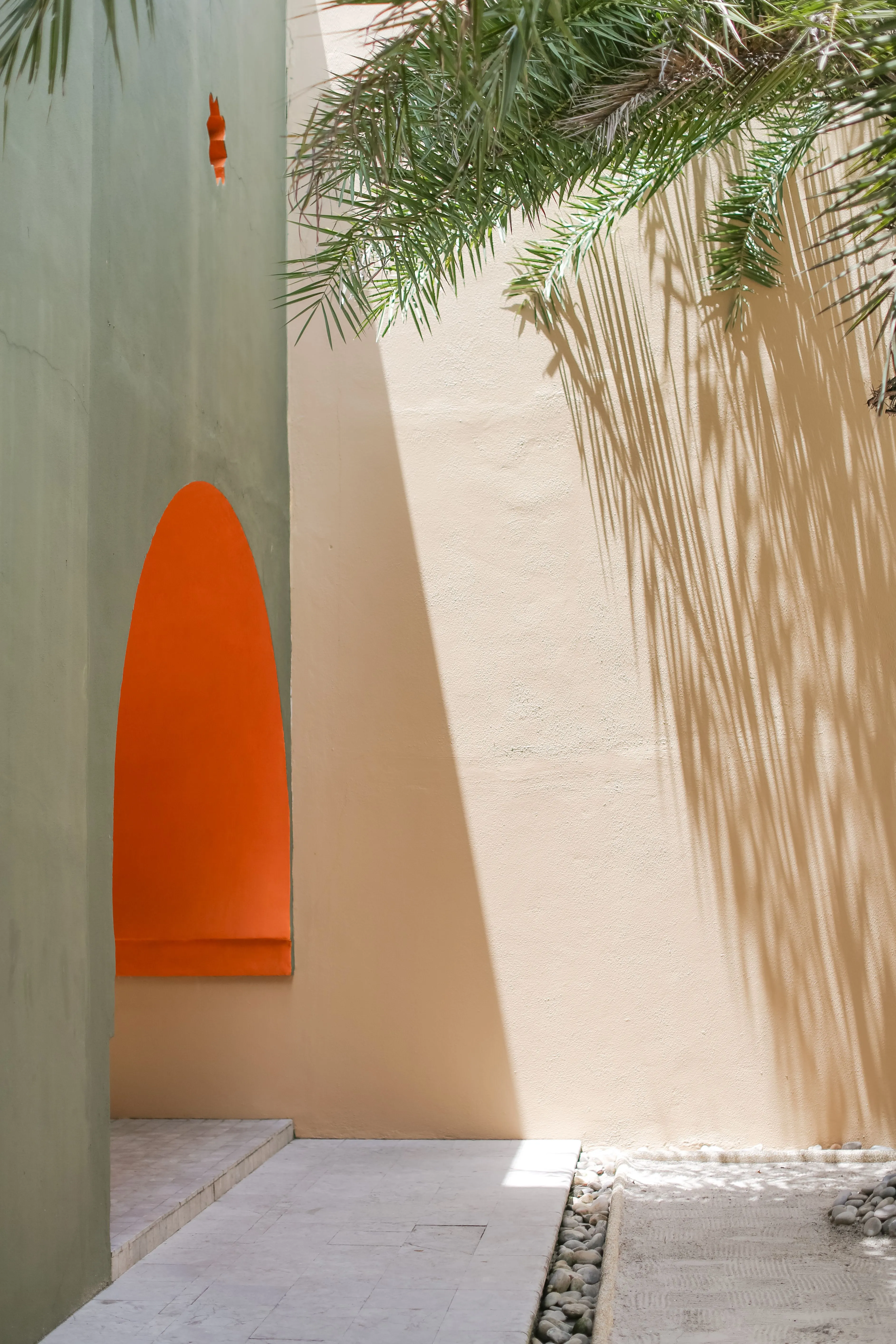 Mur méditerranéen vert et terracotta avec ombre de palmier