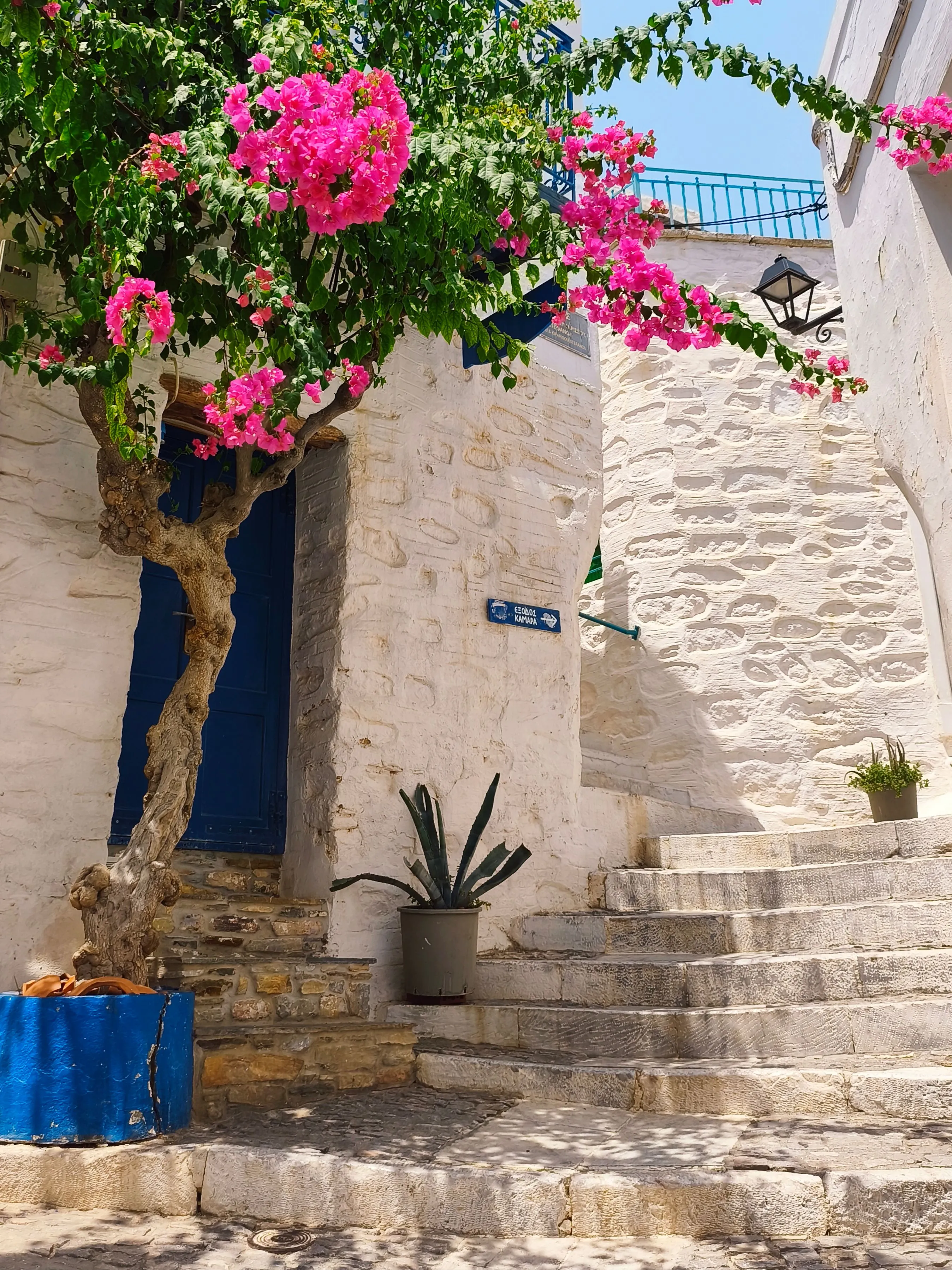 Ruelle blanche méditerranéenne avec bougainvillées roses et porte bleue